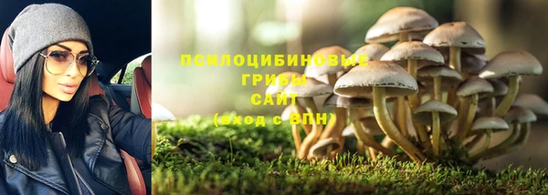 ALPHA-PVP Дмитров