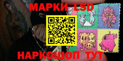 прущие грибы Абакан