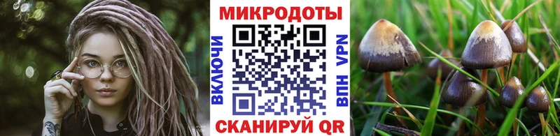 Купить  Добрянка  Псилоцибиновые грибы MAGIC MUSHROOMS 