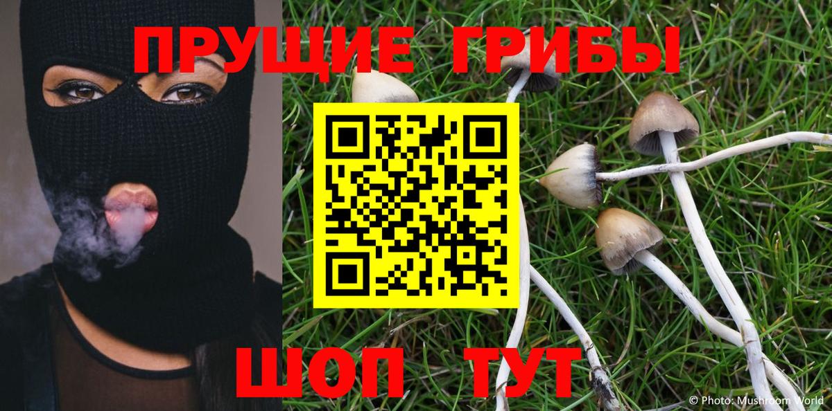 Псилоцибиновые грибы Magic Shrooms  Вход с VPN  Добрянка 