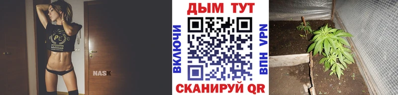 Каннабис план  Купить закладки  Добрянка 